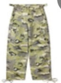Vale lives crystal camp cargo pants