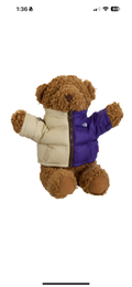 Supreme X The North Face teddy bear