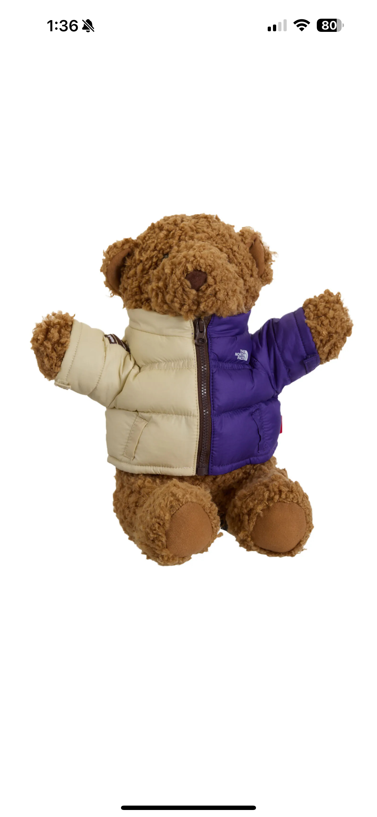 Supreme X The North Face teddy bear
