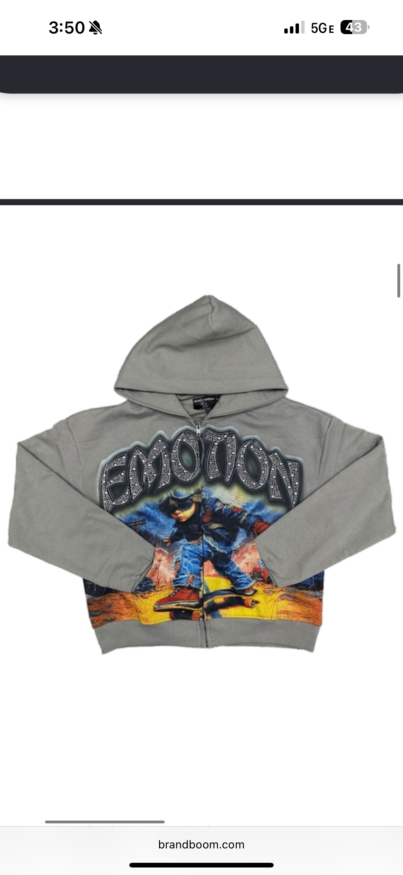 Mixed Emotions Skateboard Zip up Hoodie grey