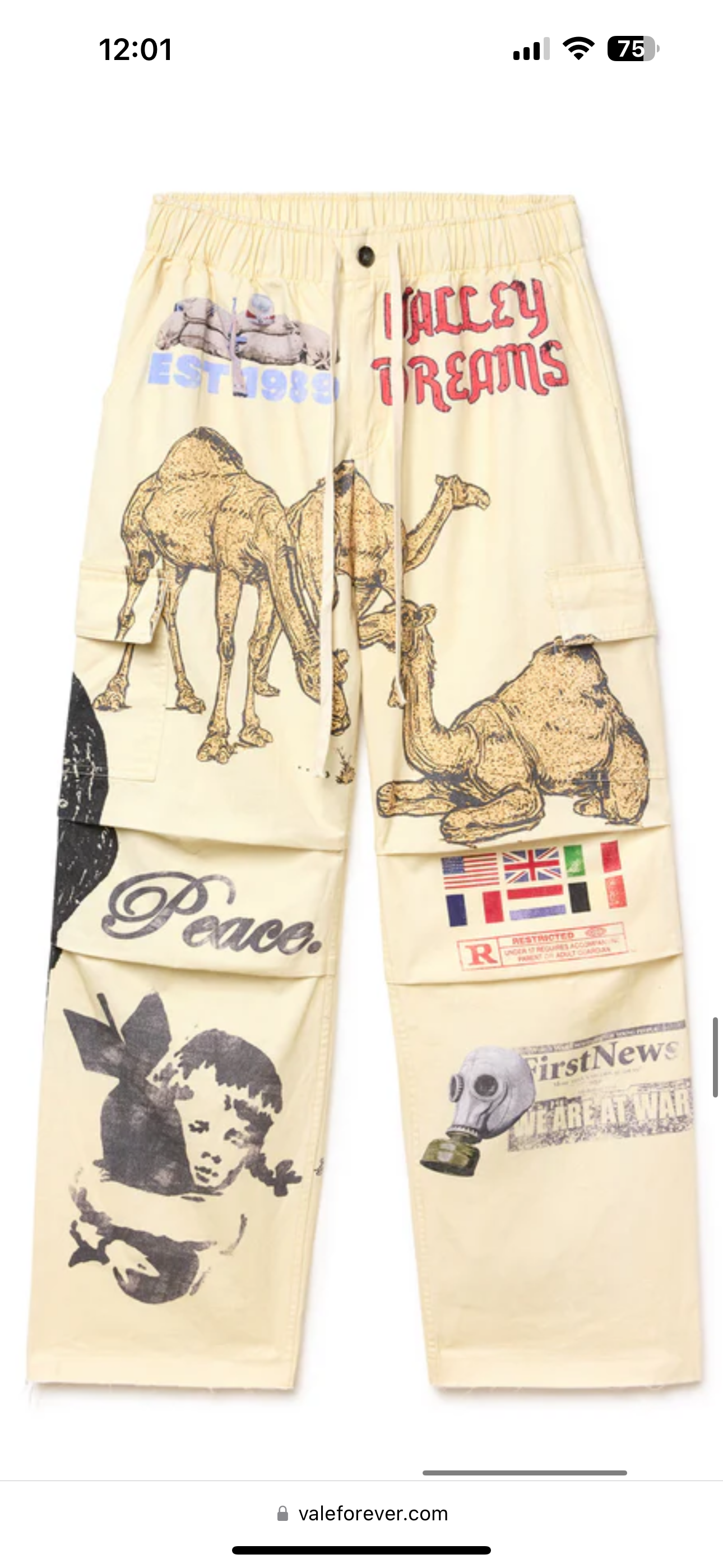 Vale Lives “Warzone” Cargo Pants