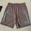 Warren Lotas “Barbed Wire” Shorts (Brown/Blue)