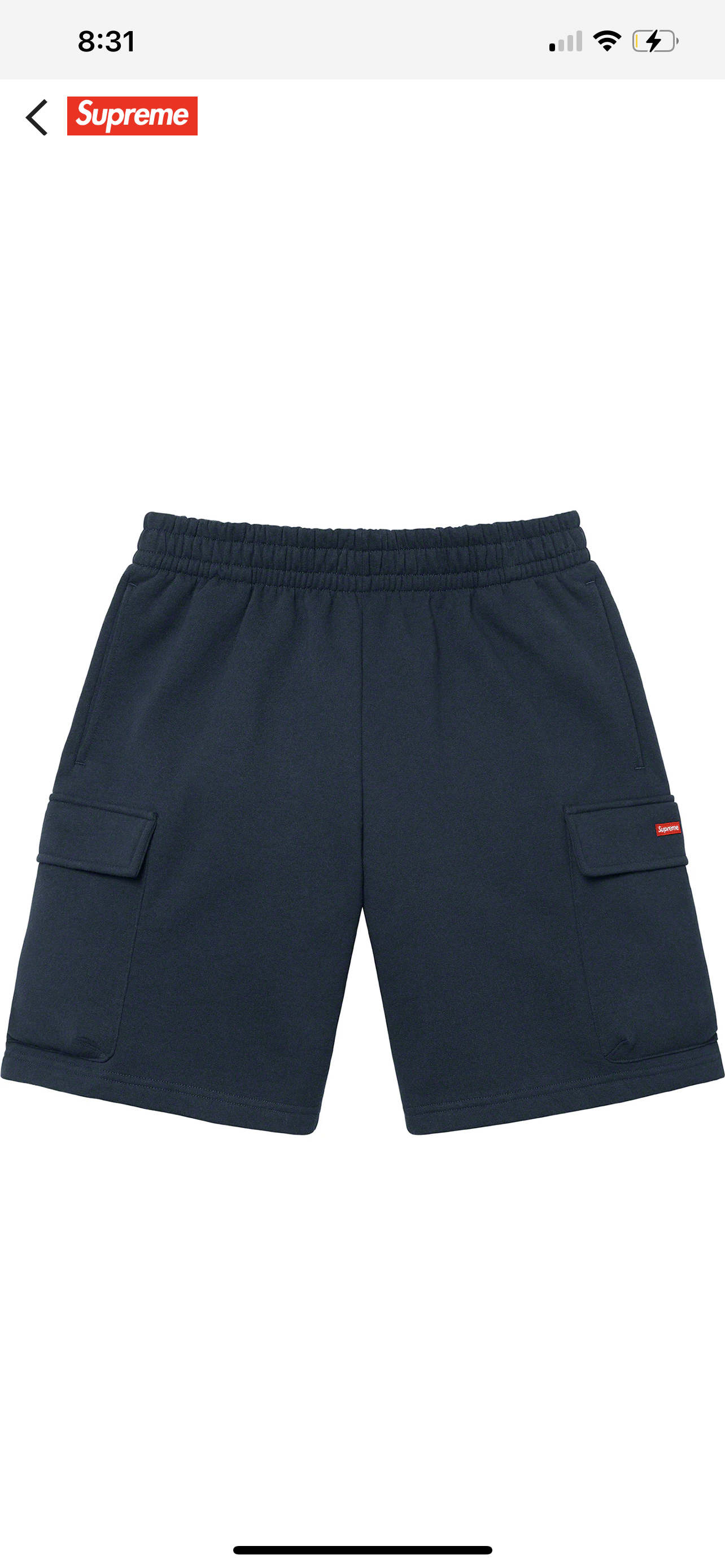 Supreme Cargo Shorts (Navy)
