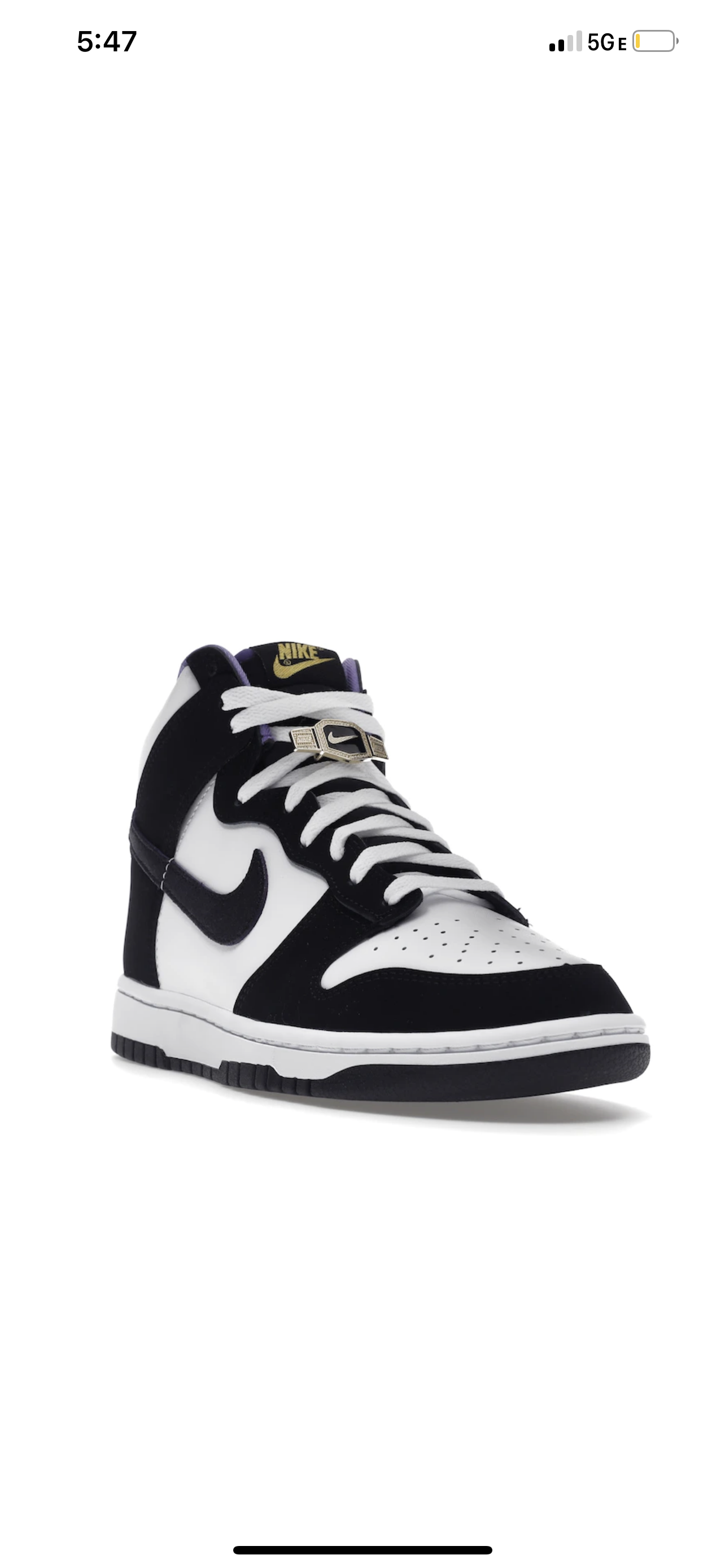 Nike Dunk High “World Champs”